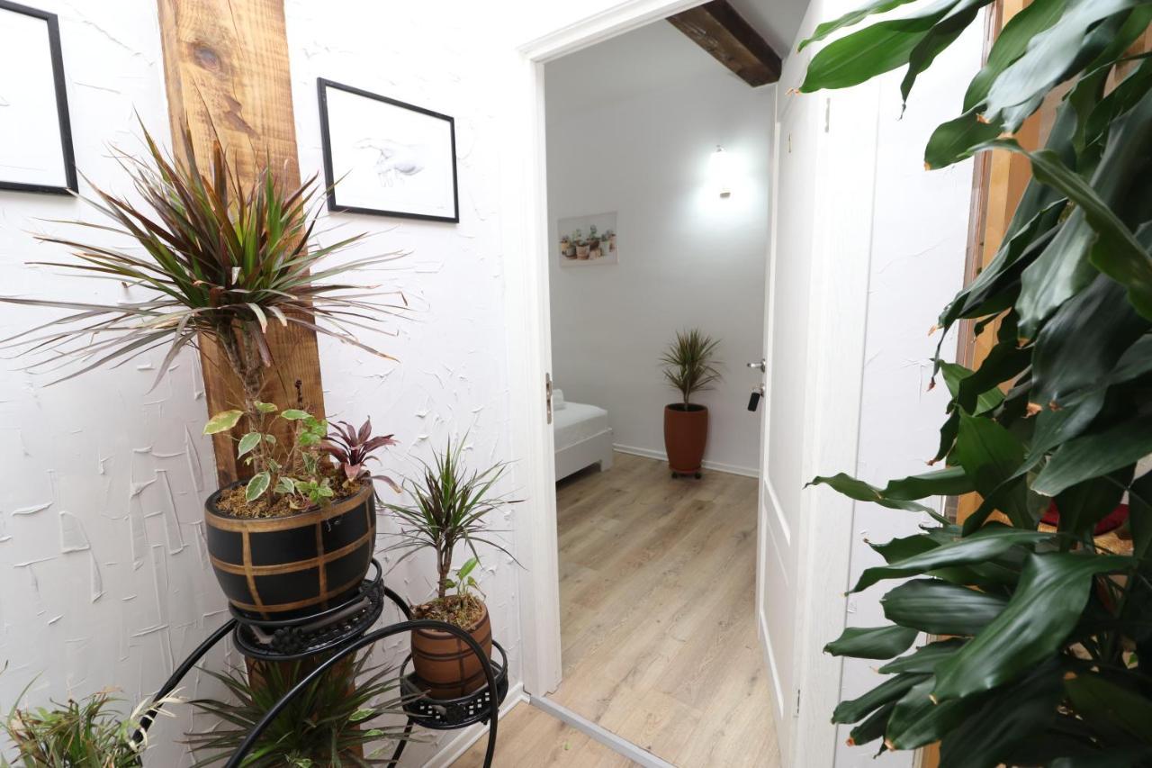 Gaia Bed & Breakfast Vlorë Eksteriør bilde